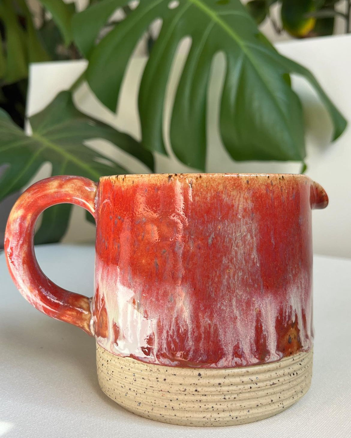 Red Pitcher (16oz)