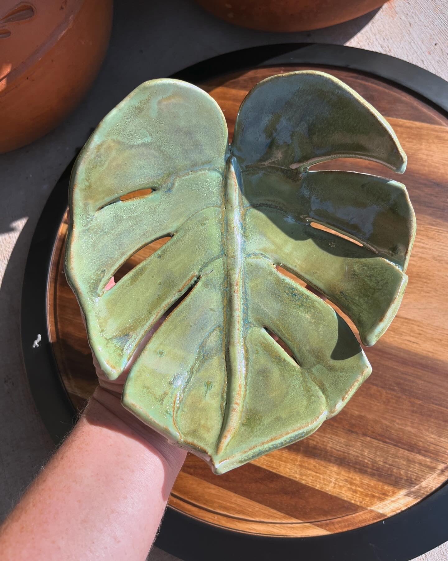 Monstera Dish