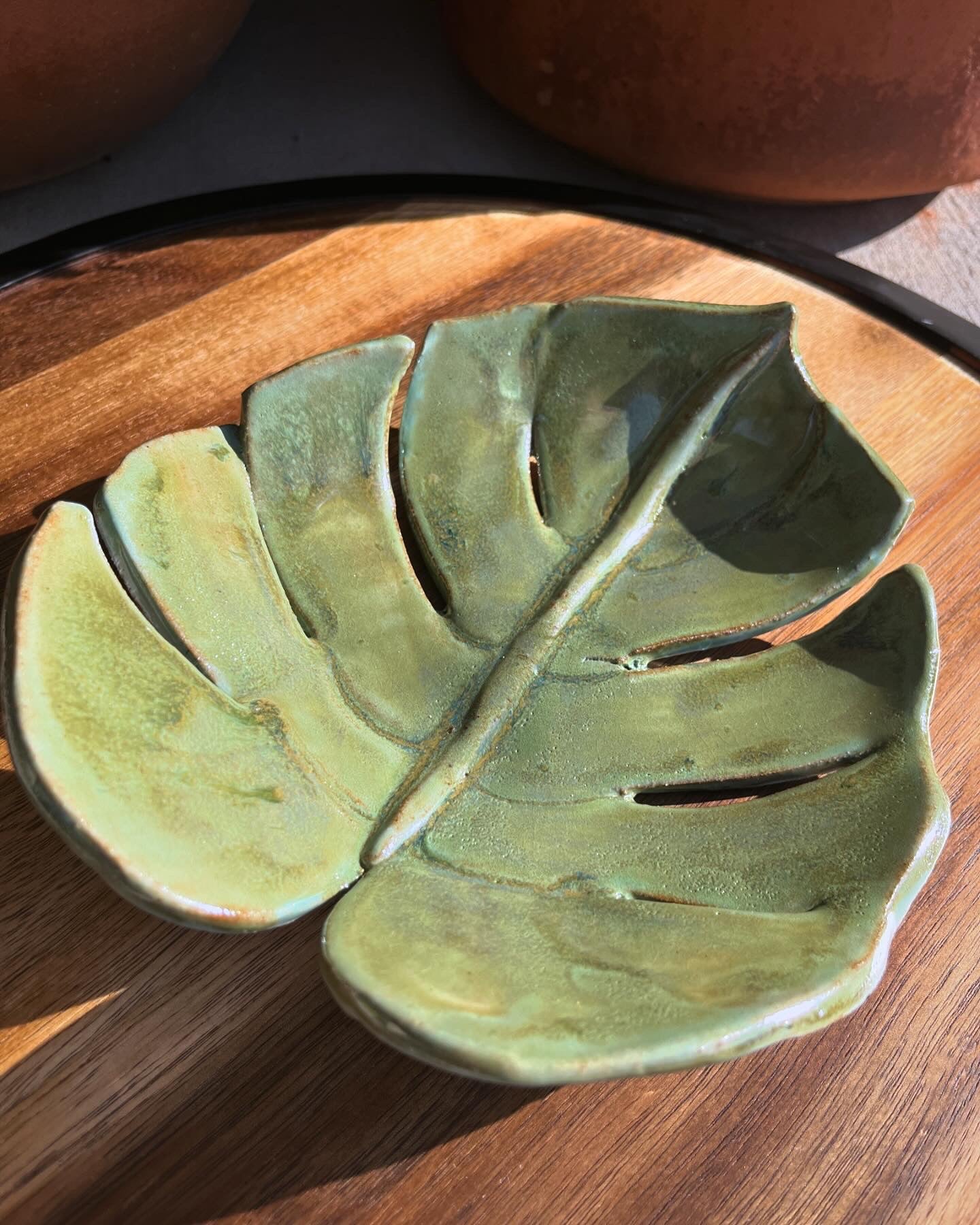 Monstera Dish